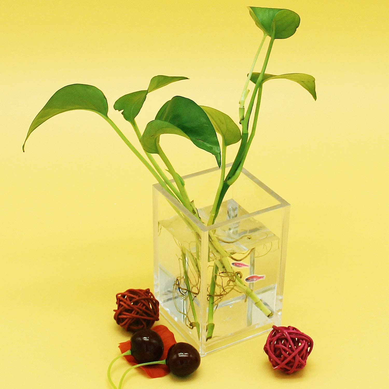 2 Pack Clear Acrylic Pencil Pen Holder Cup,Desk Accessories Holder,Makeup Brush