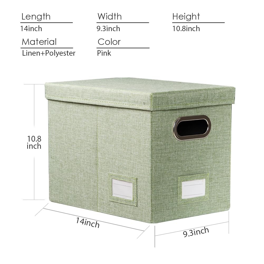 PRANDOM File Organizer Box – Set of 1 (1-pack) Without Folders, Green