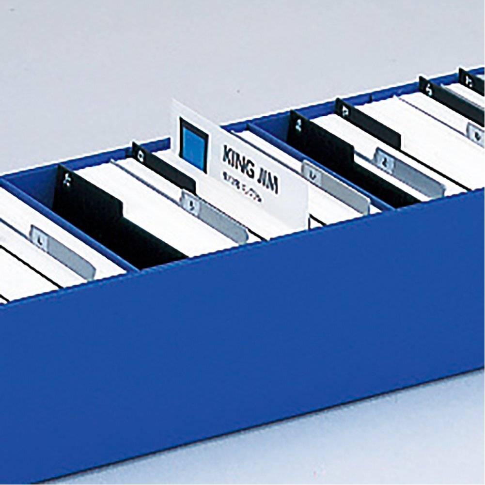 Kingjim Business Card Organizer 75 Black From Japan