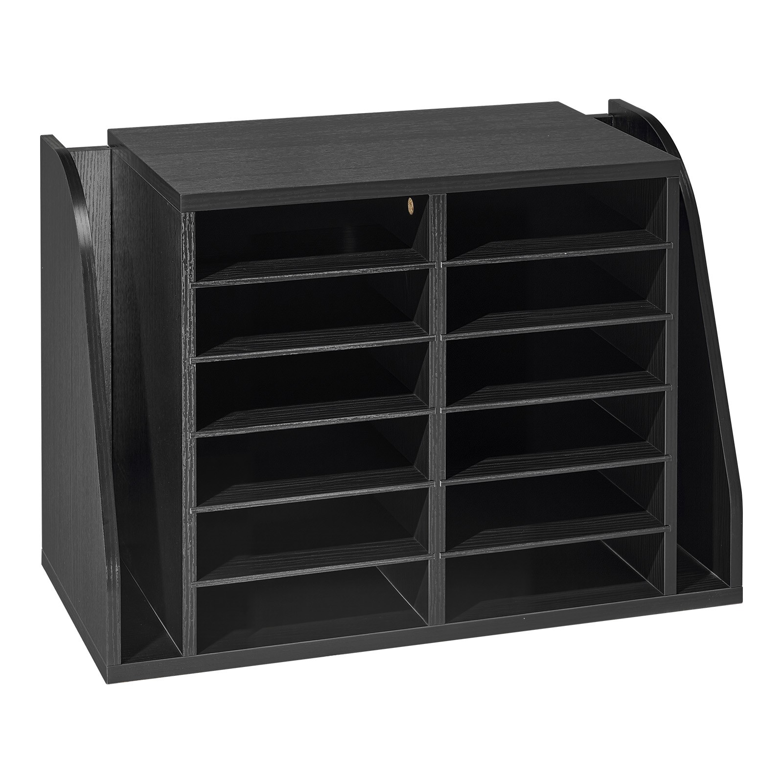 Uimoso 12-Compartment Literature Organizer for Office Mail and Vertical Storage