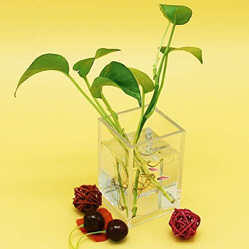 2 Pack Acrylic Pencil Pen Holder Cup,Desk Accessories Holder,Makeup Brush Clear