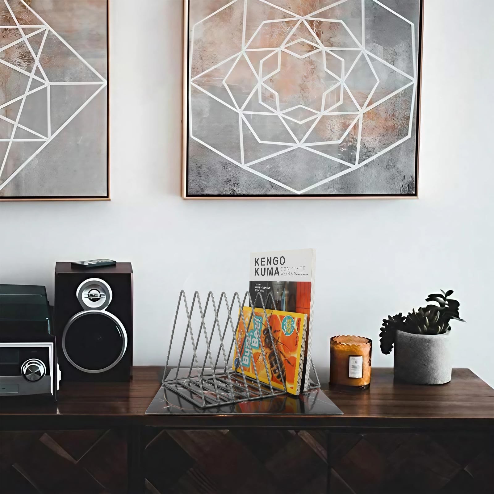 Vinyl Record Holder Storage, 9 Slot Metal Magazine Book Album Display Rack, S…