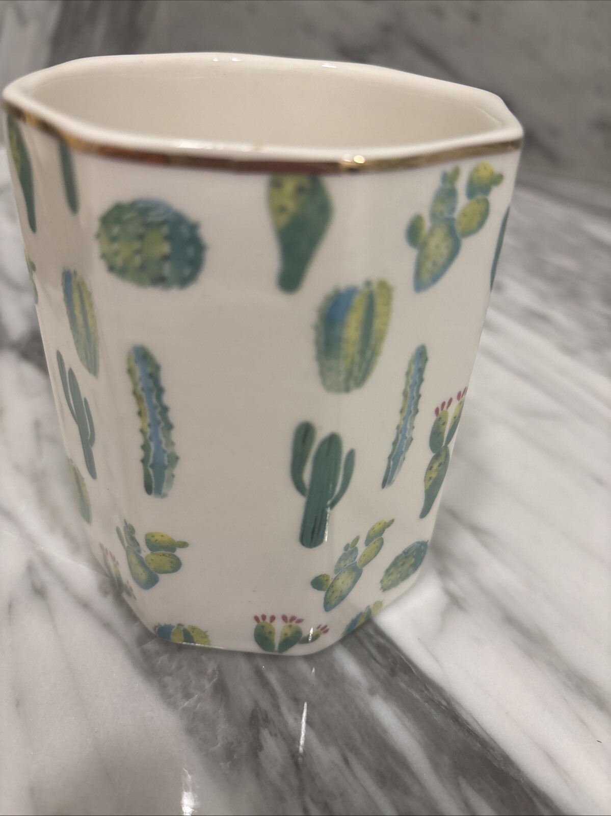 Pencil Pen Holder, Makeup Brush Holder Cactus White Glossy Finish 4”