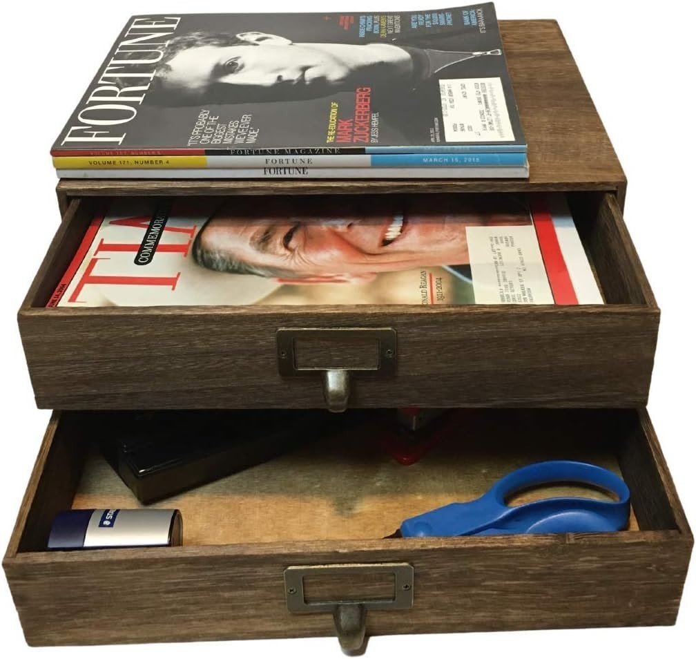 Walnut 2-Drawer Wooden Monitor Stand Office Desk Organizer