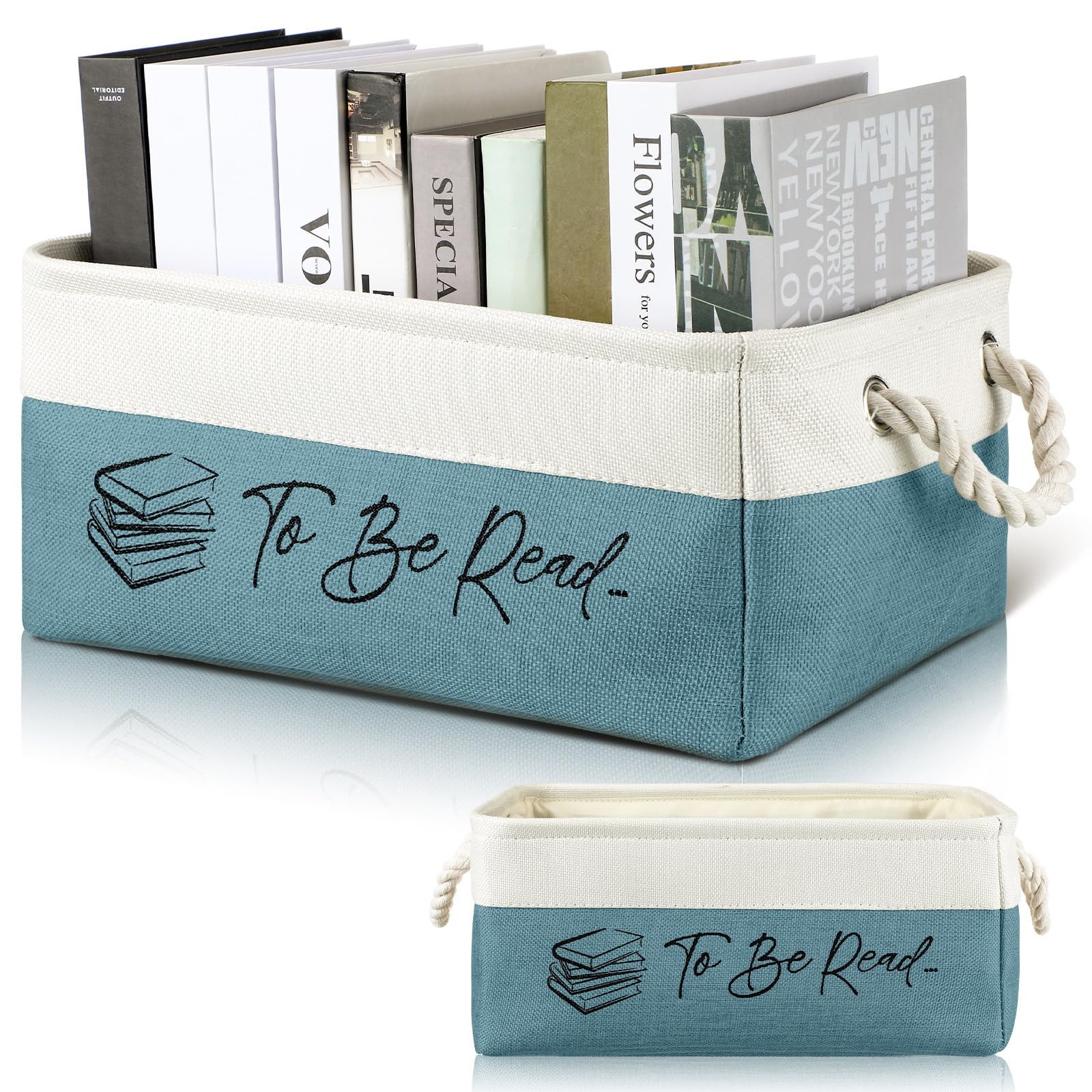 Book Lover Gifts Tbr Book Storage Basket to Be Read List Storage Bin Bookish Acc