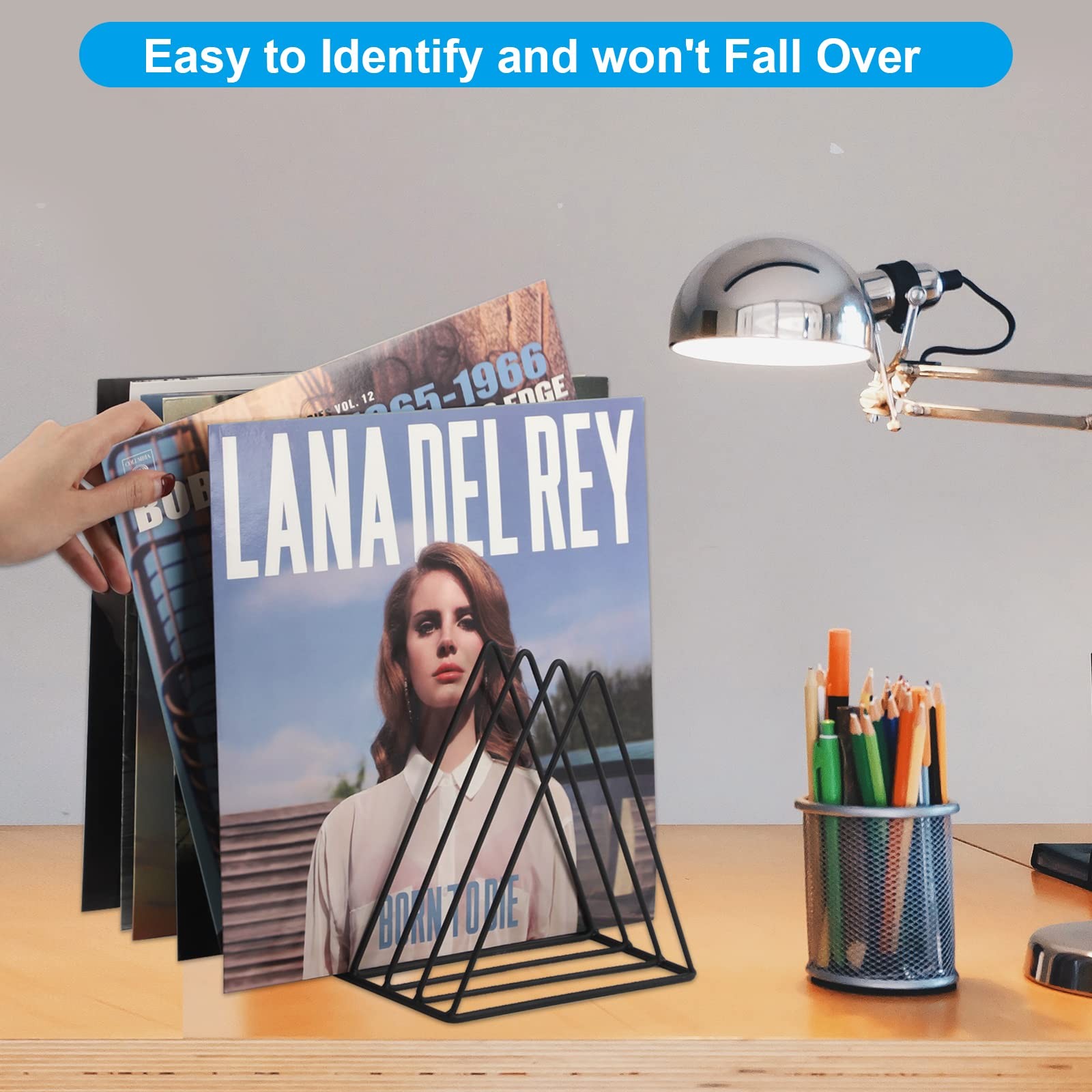 Vinyl Record Holder Storage, 9 Slot Metal Magazine Book Album Display Rack, S…