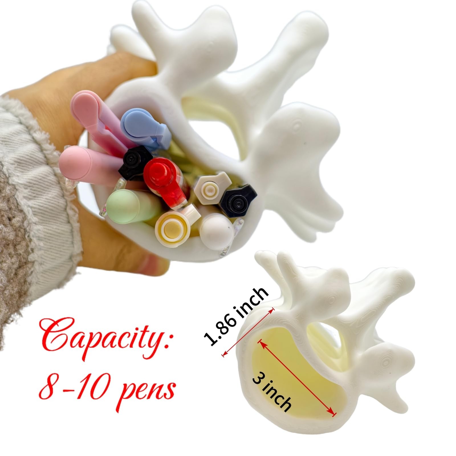 3D Printed Spine Pen Holder, Anatomical Vertebrae Pencil Cup Based on Real CT…