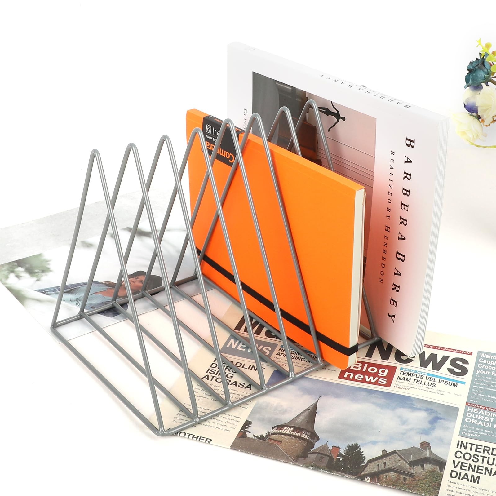 Vinyl Record Holder Storage, 9 Slot Metal Magazine Book Album Display Rack, S…