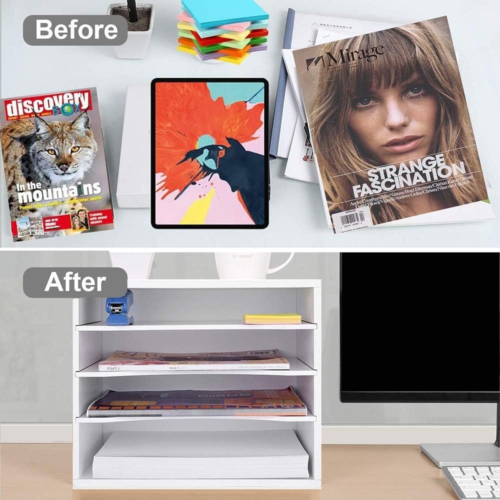 Organizador de papel ajustable de 4 niveles para libros de texto/revistas NEW US