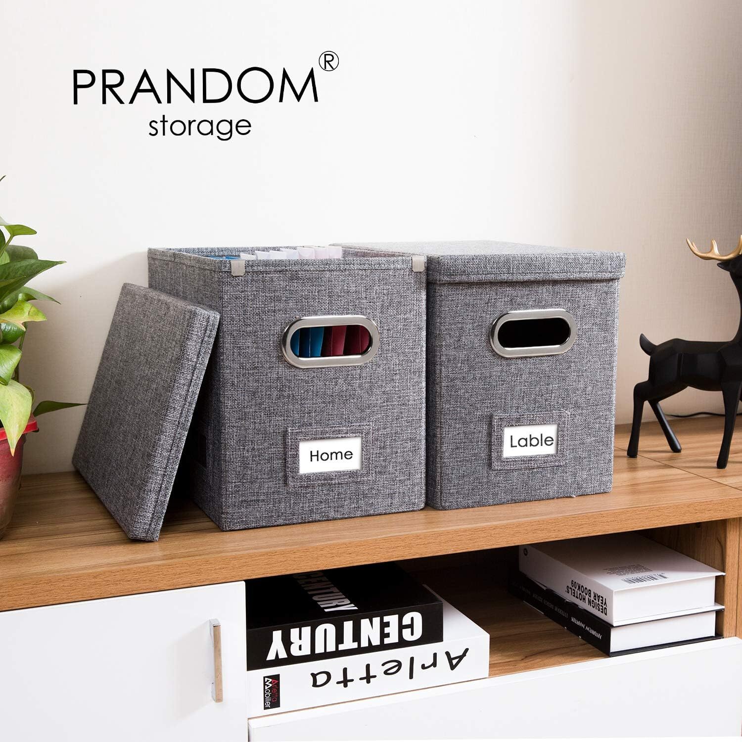 PRANDOM File Organizer Box – Set of 1 (1-pack) without folders, Grey