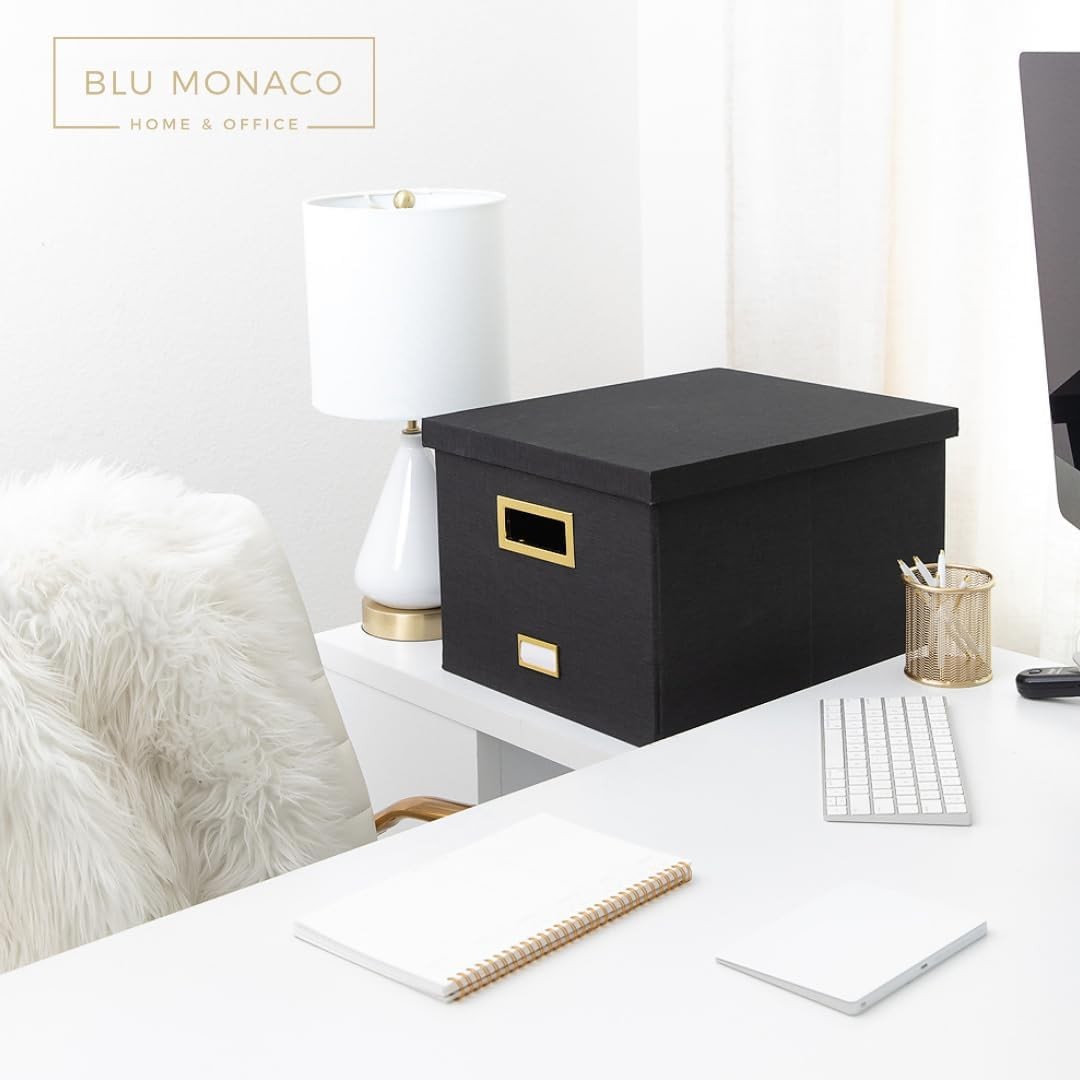 BLU MONACO | Desktop Hanging File Organizer 17.2 x 14 x 10.75 inches, Black