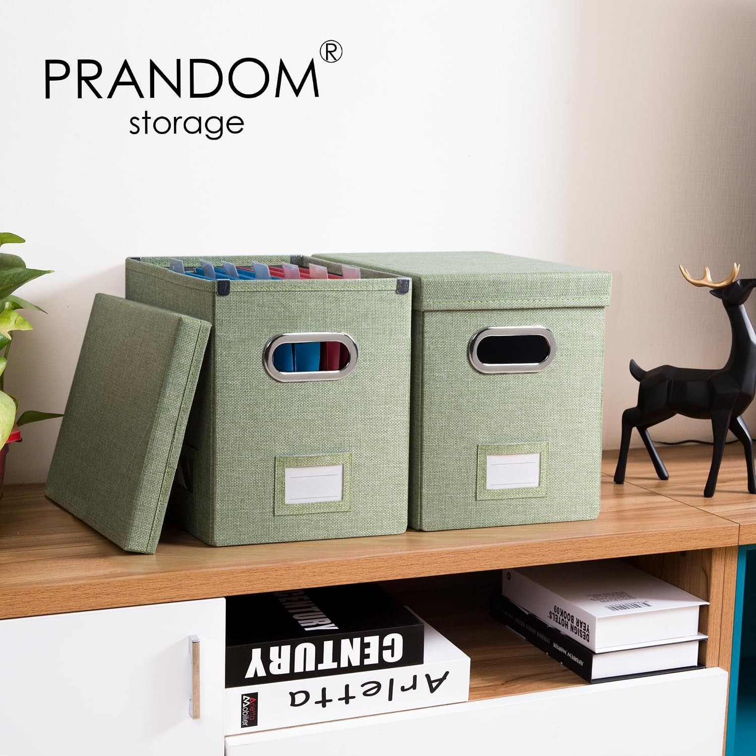 PRANDOM File Organizer Box – Set of 1 (1-pack) Without Folders, Green
