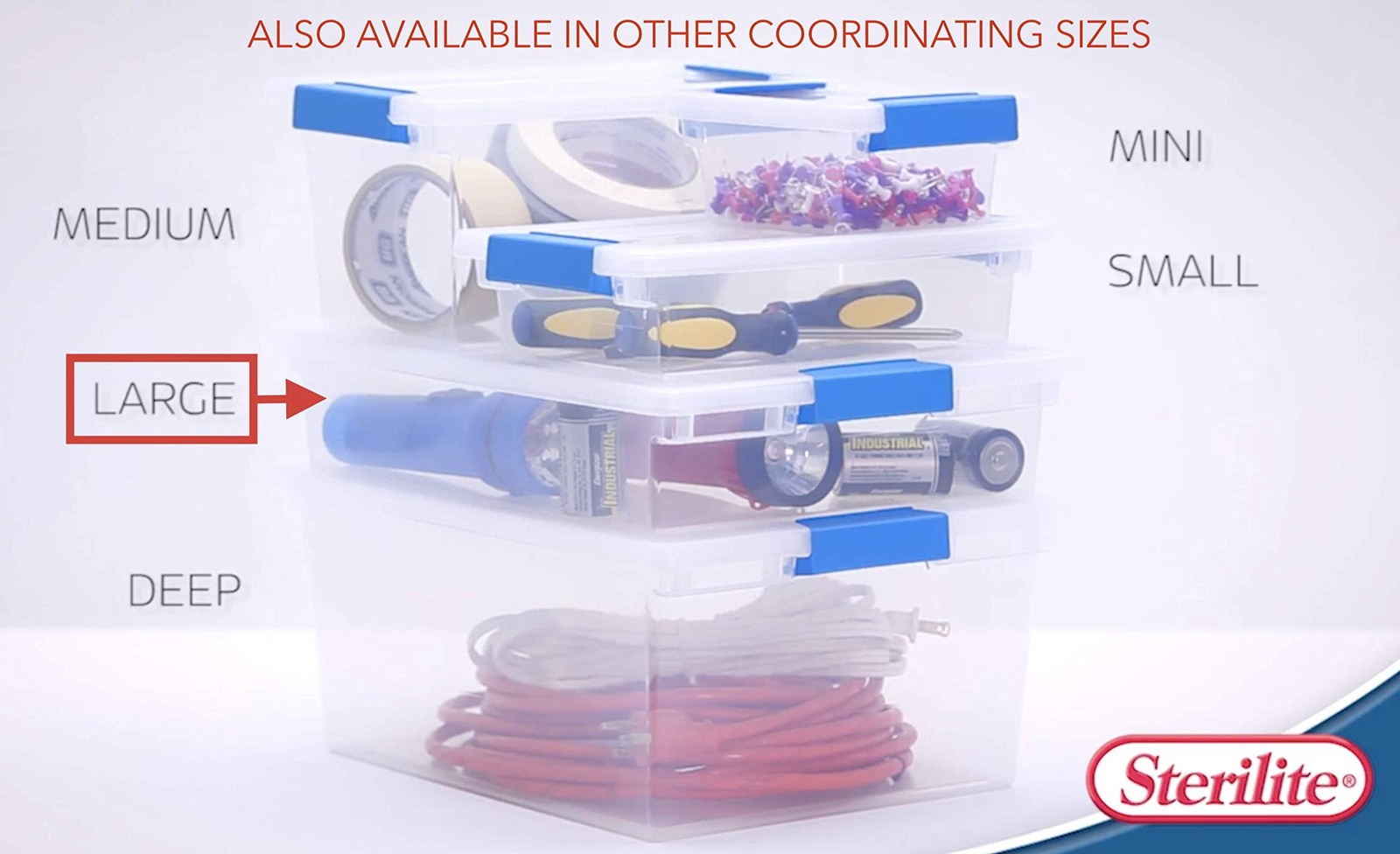 STERILITE 19638606 Large Clip Box, Clear with Blue 2 Pack, Large,
