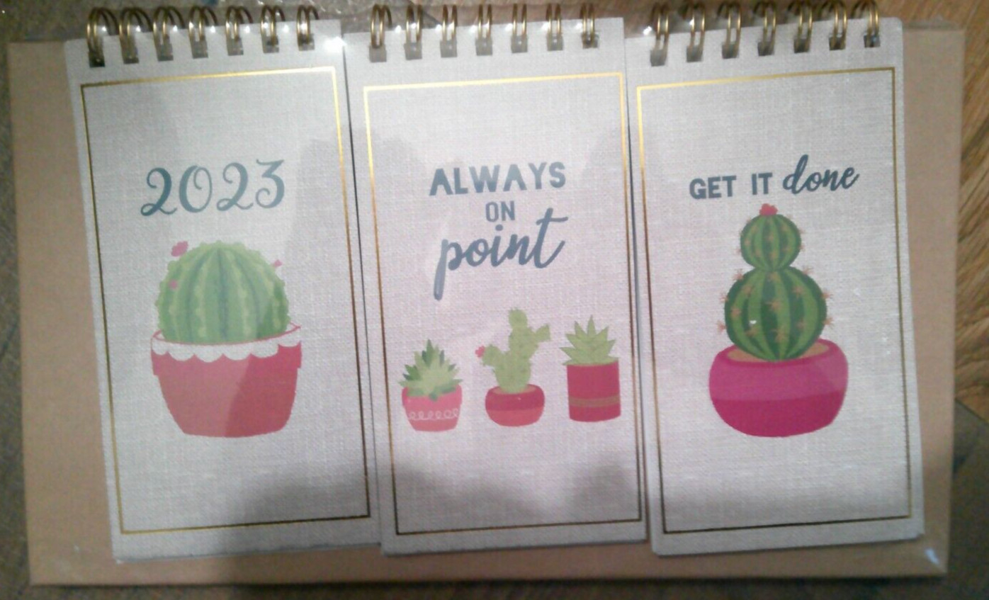 NEW desktop flip top desk organizer TO DO LIST NOTES THIS WEEK succulent theme