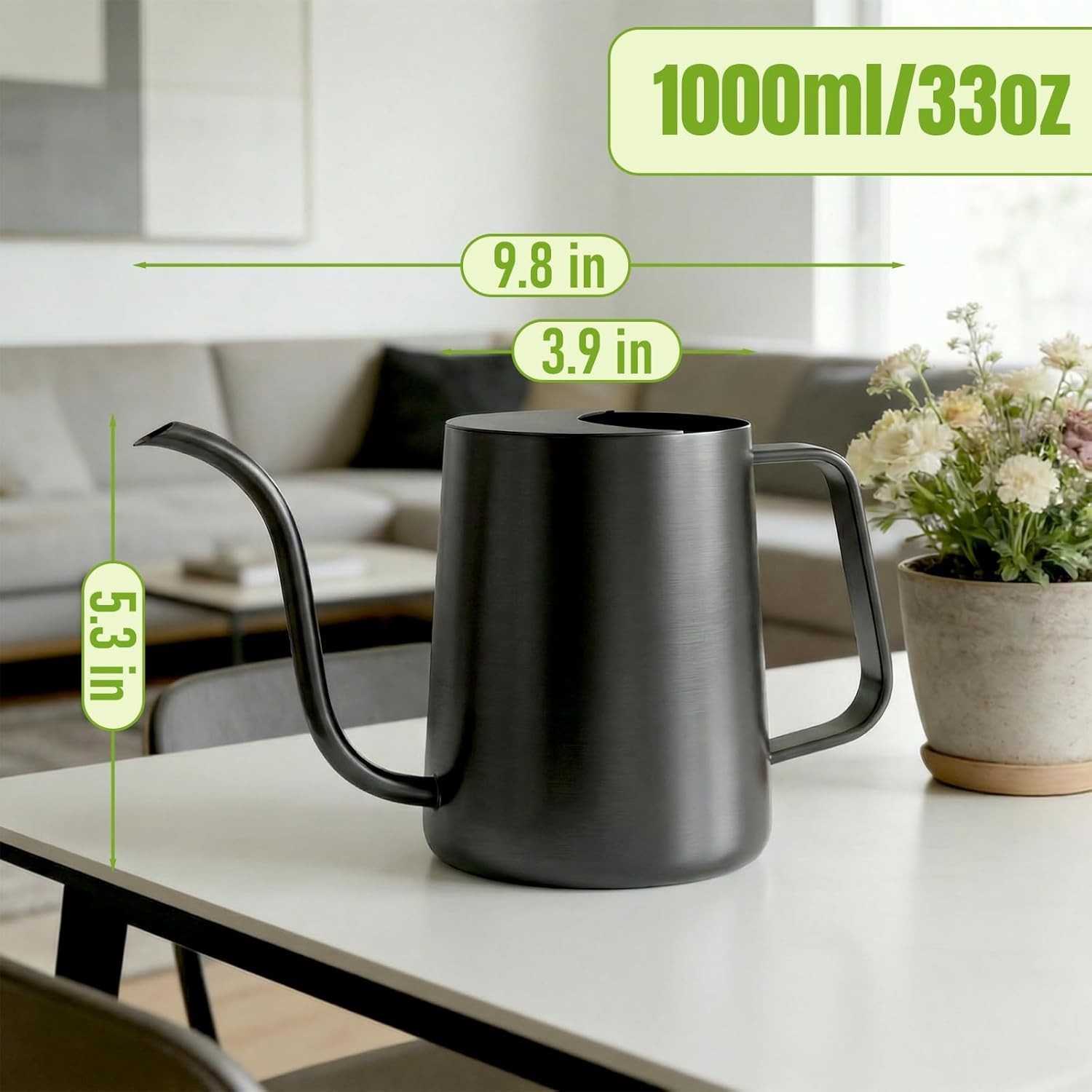 34oz/1000ml Watering Can Indoor Plants W/ Long Spout Plant Watering Can