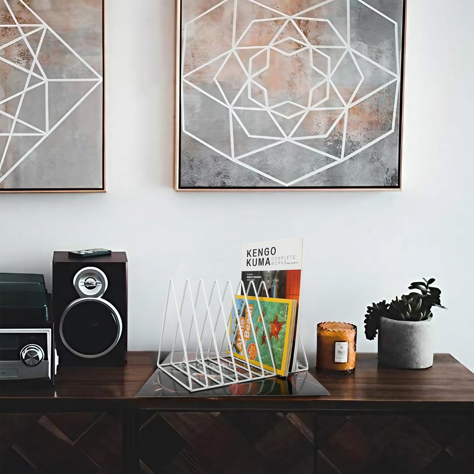 Vinyl Record Holder Storage, 9 Slot Metal Magazine Book Album Display Rack, S…