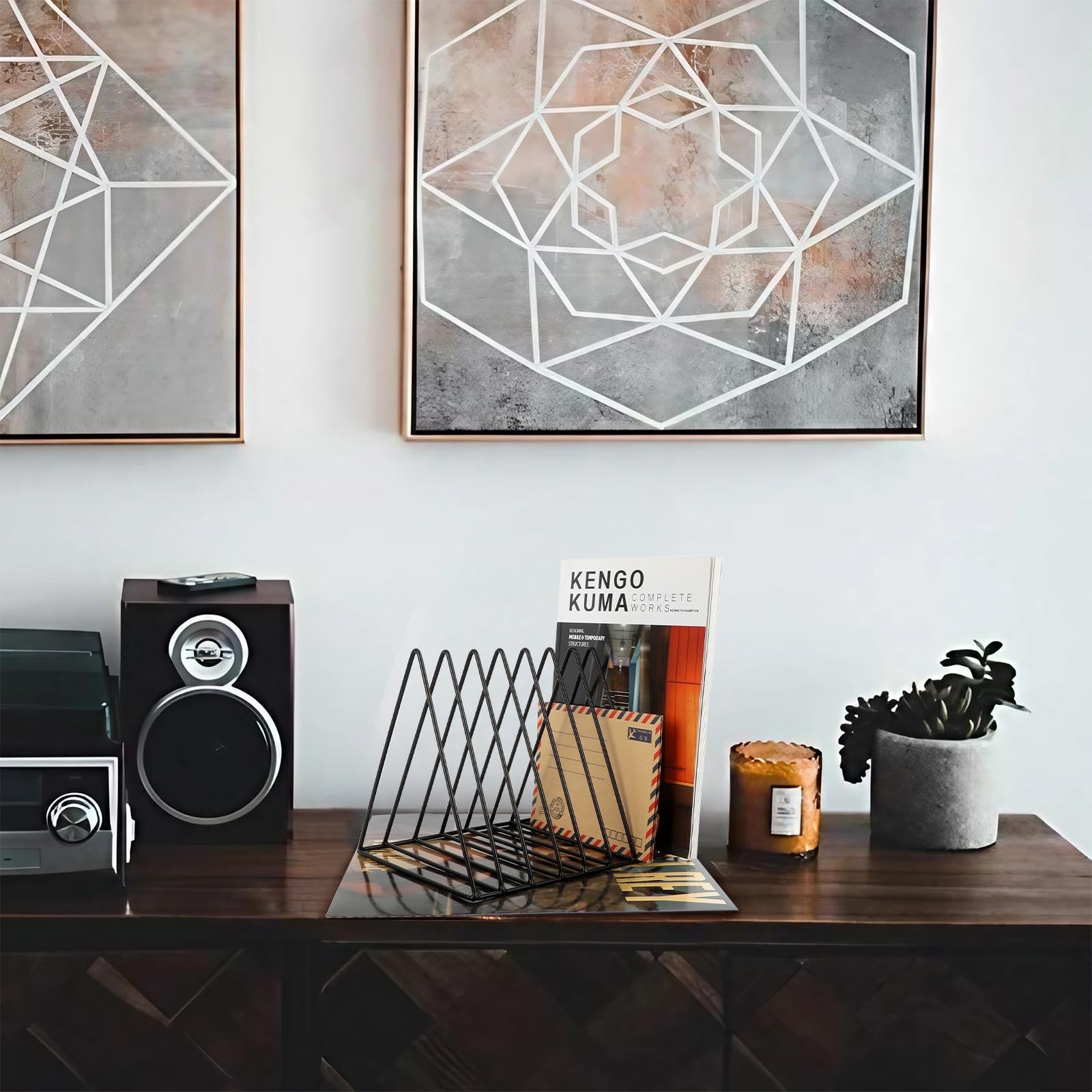 Vinyl Record Holder Storage, 9 Slot Metal Magazine Book Album Display Rack, S…