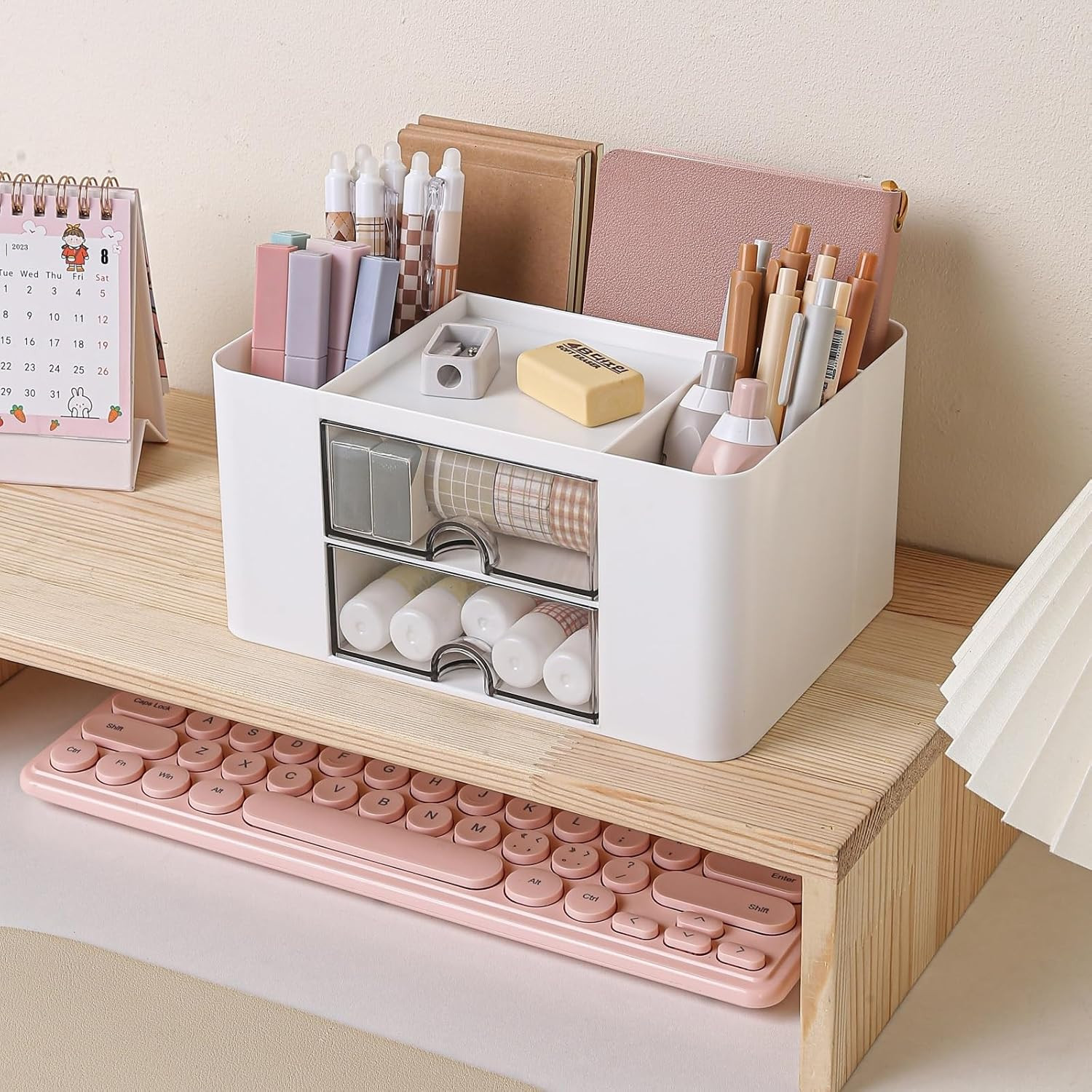 Desk Organizer with 2 Drawer, Plastic Desktop Pen Pencil Card Holder Storage Box