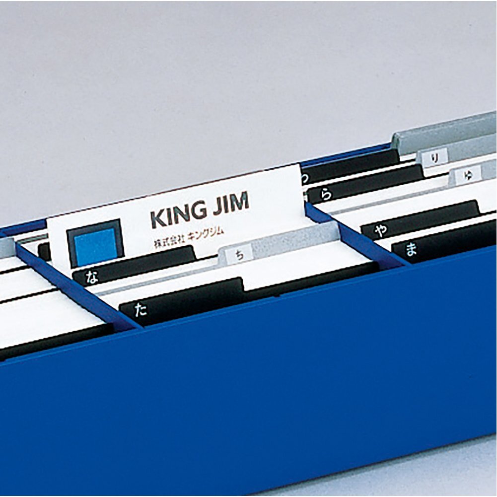 Kingjim Business Card Organizer 75 Black From Japan