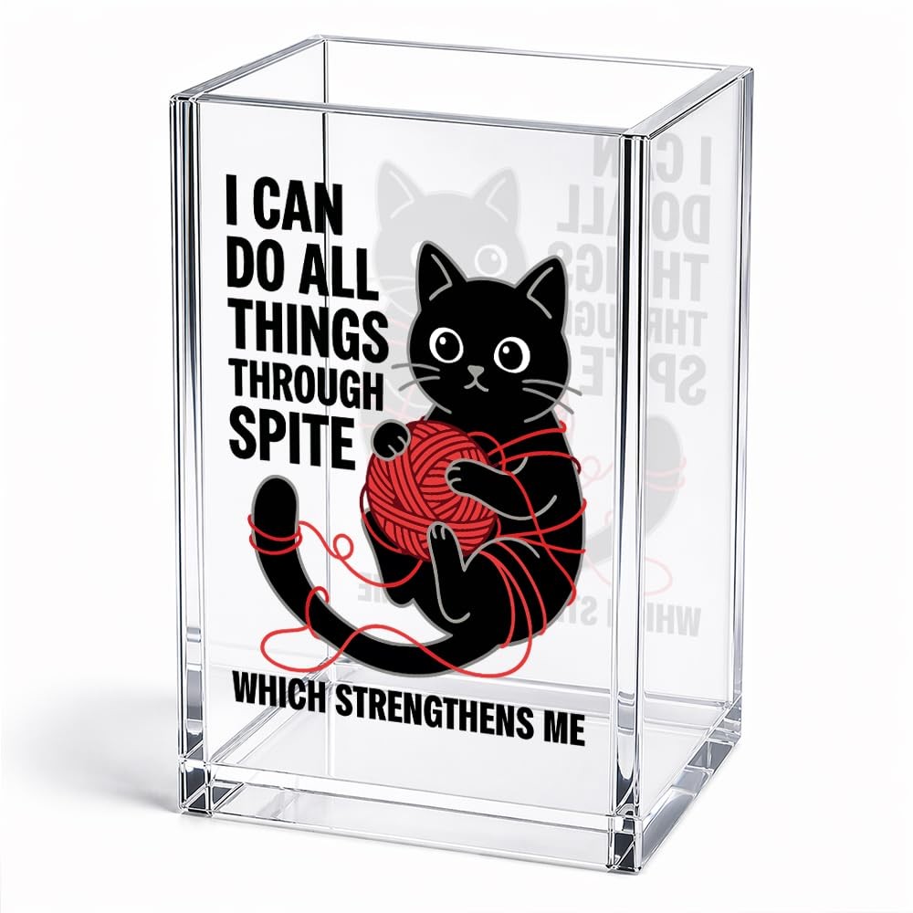 I Can Do All Things Through Spite Which Strengthens Me Acrylic Pencil Holder …