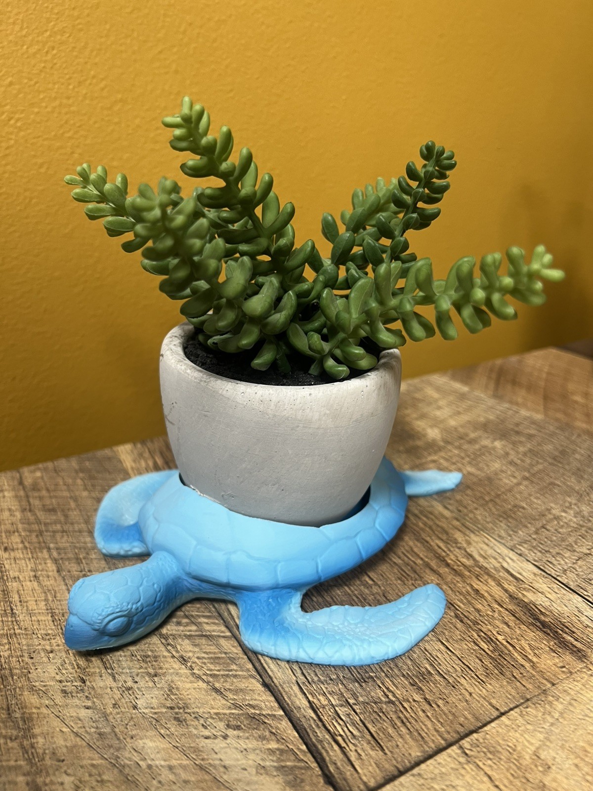 Sea Turtle Desk Organizer 5.5 inches x 6 inches Candle Plant Holder Bin