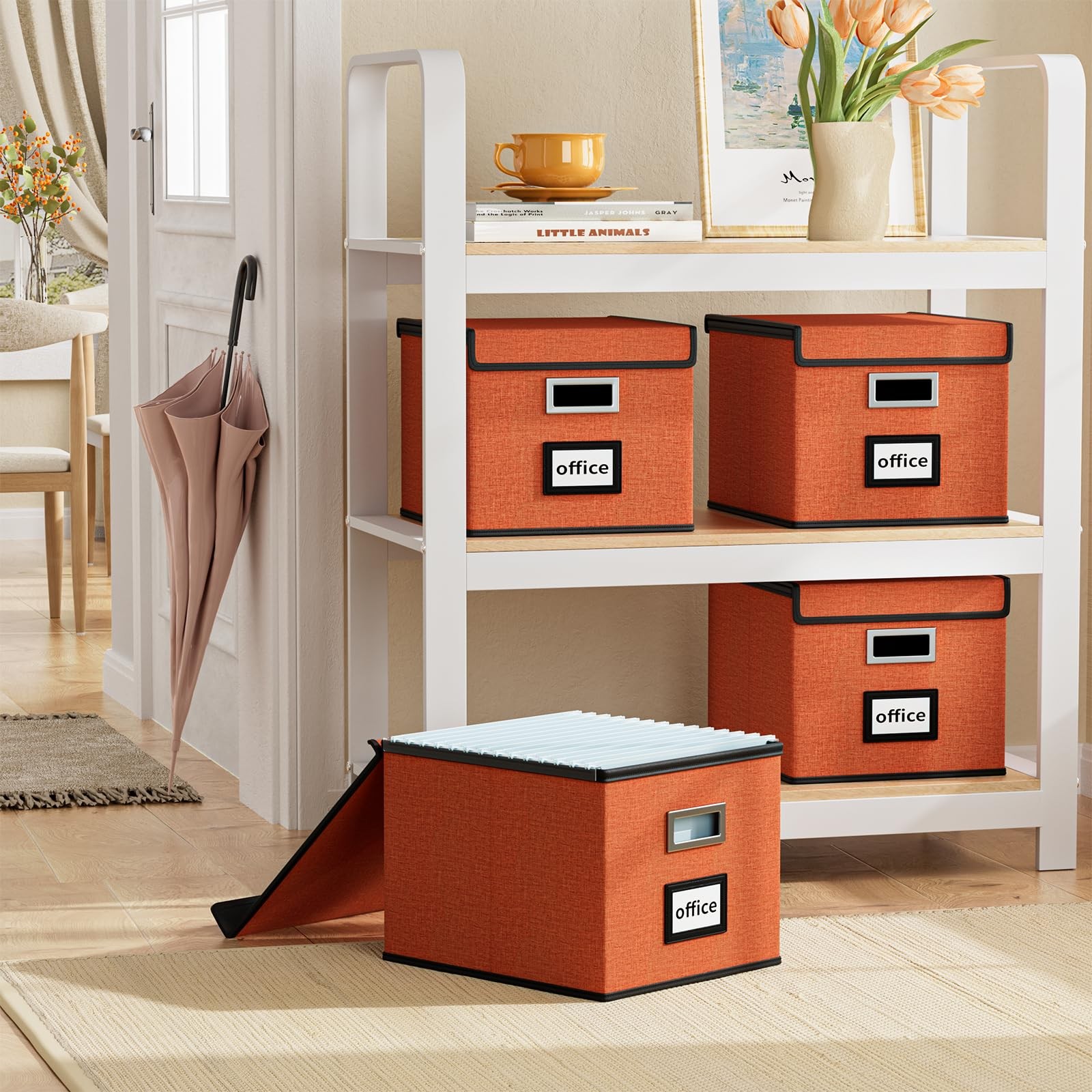 Huolewa File Organizer Box with 1 pack – without folders, Reddish Organge