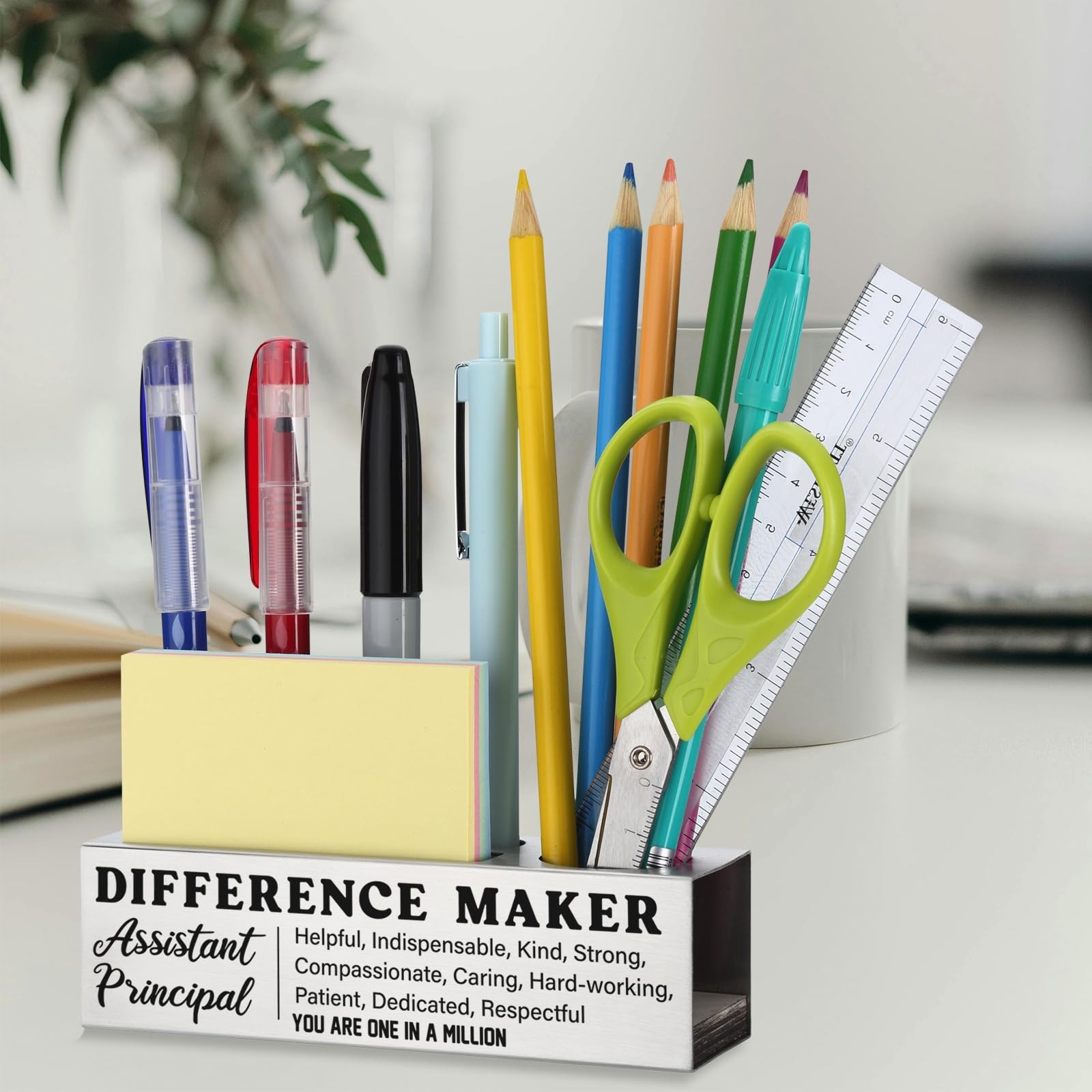 Assistant Principal Appreciation Gifts, Stainless Steel Pencil Holder with Yo…