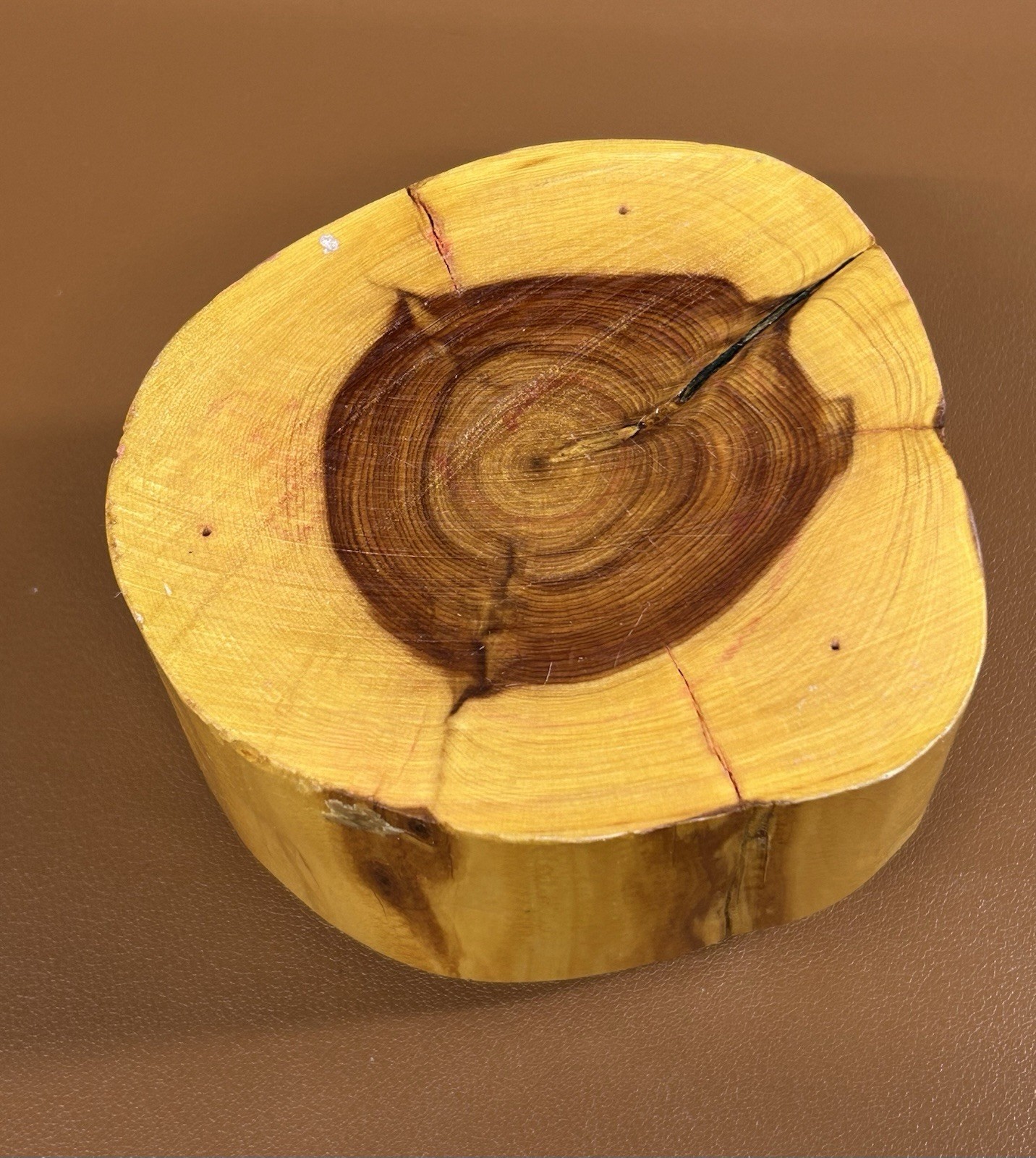 3.5” Handmade Rustic Wood Log Pencil Holder w/ 7 Holes for Desk Wooden