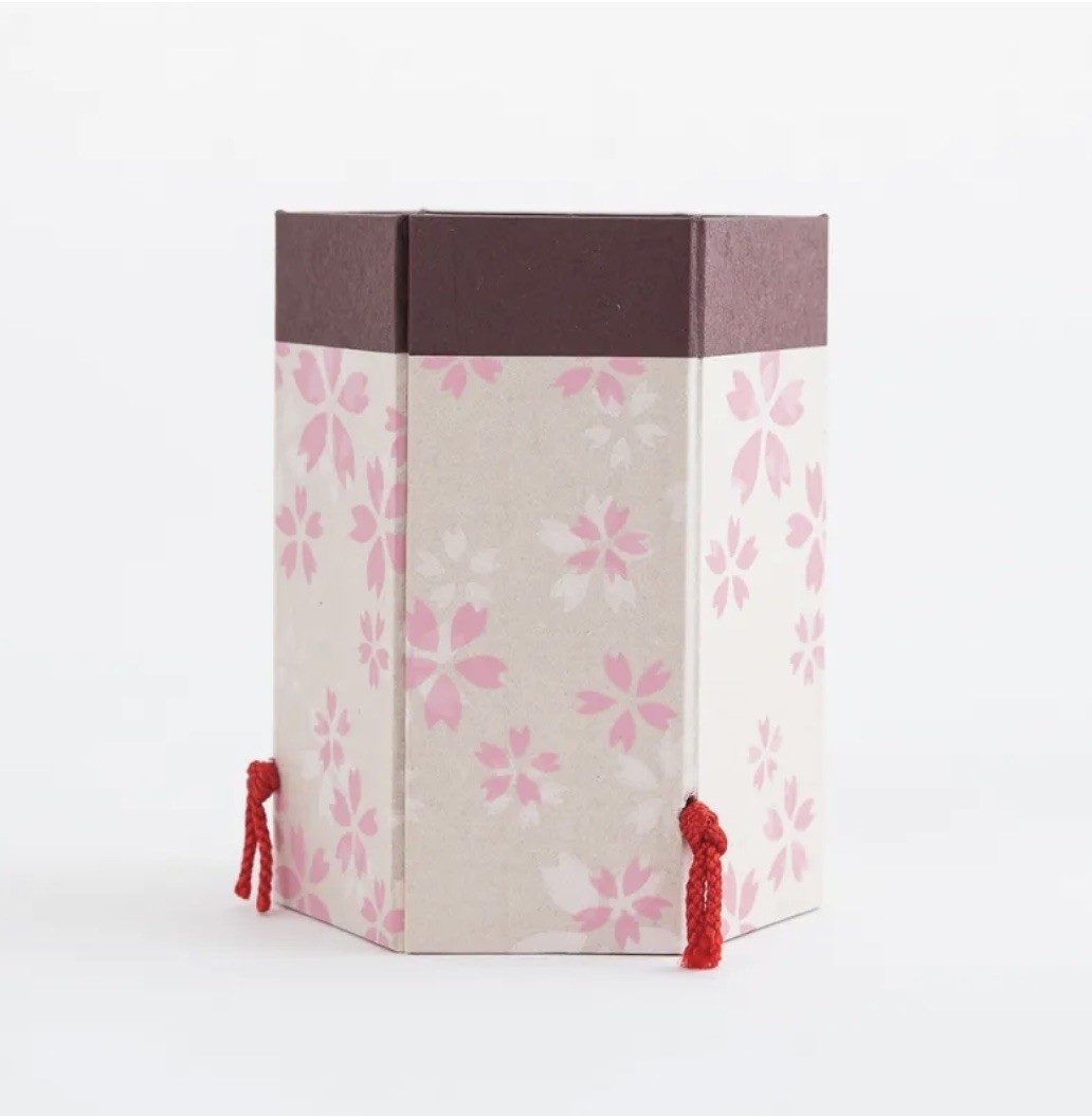Japanese Washi Paper Pen Holder “Asazakura” – Sakura Cherry Blossom Design