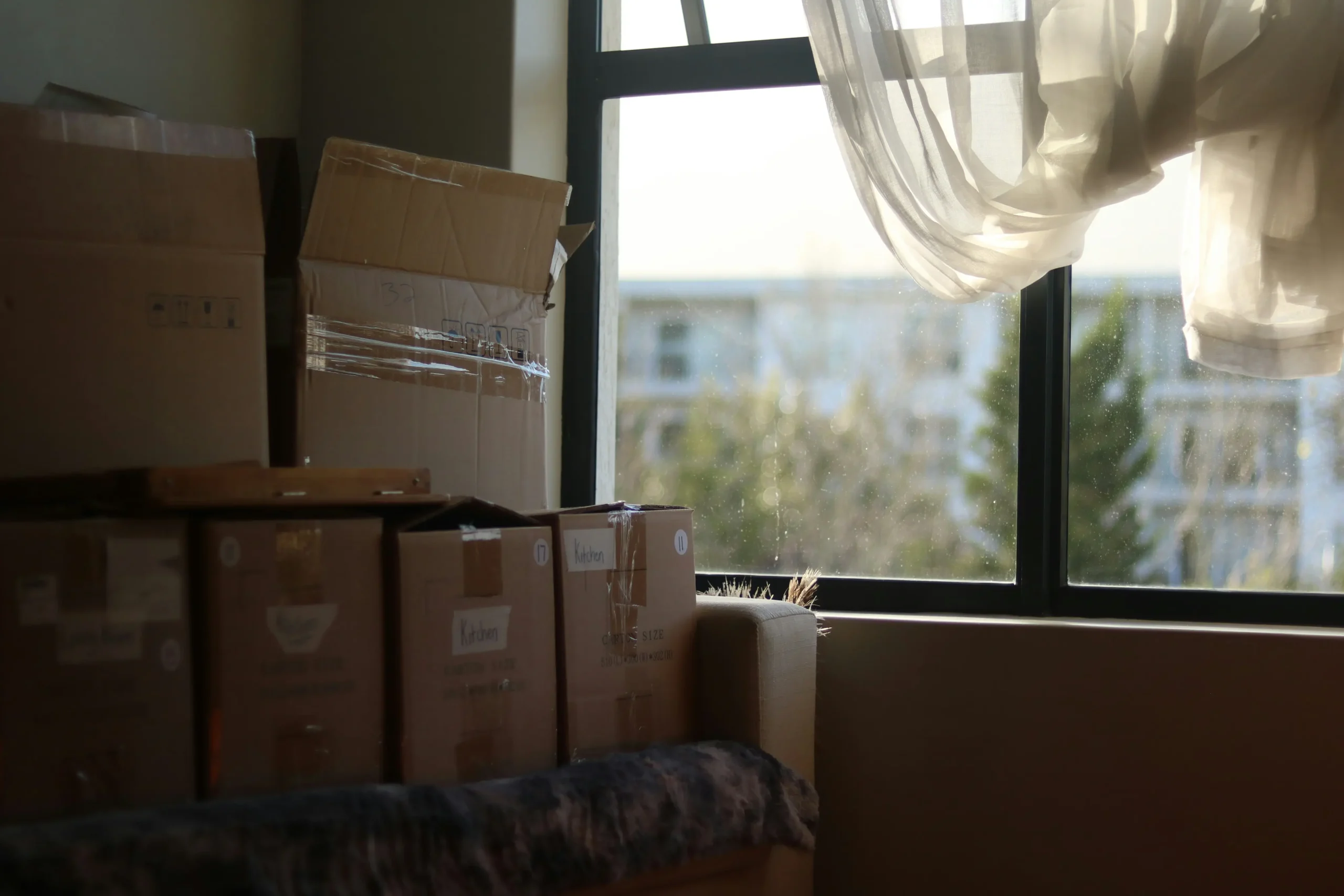 Safehoouse blog packing tips to cut your moving time in half